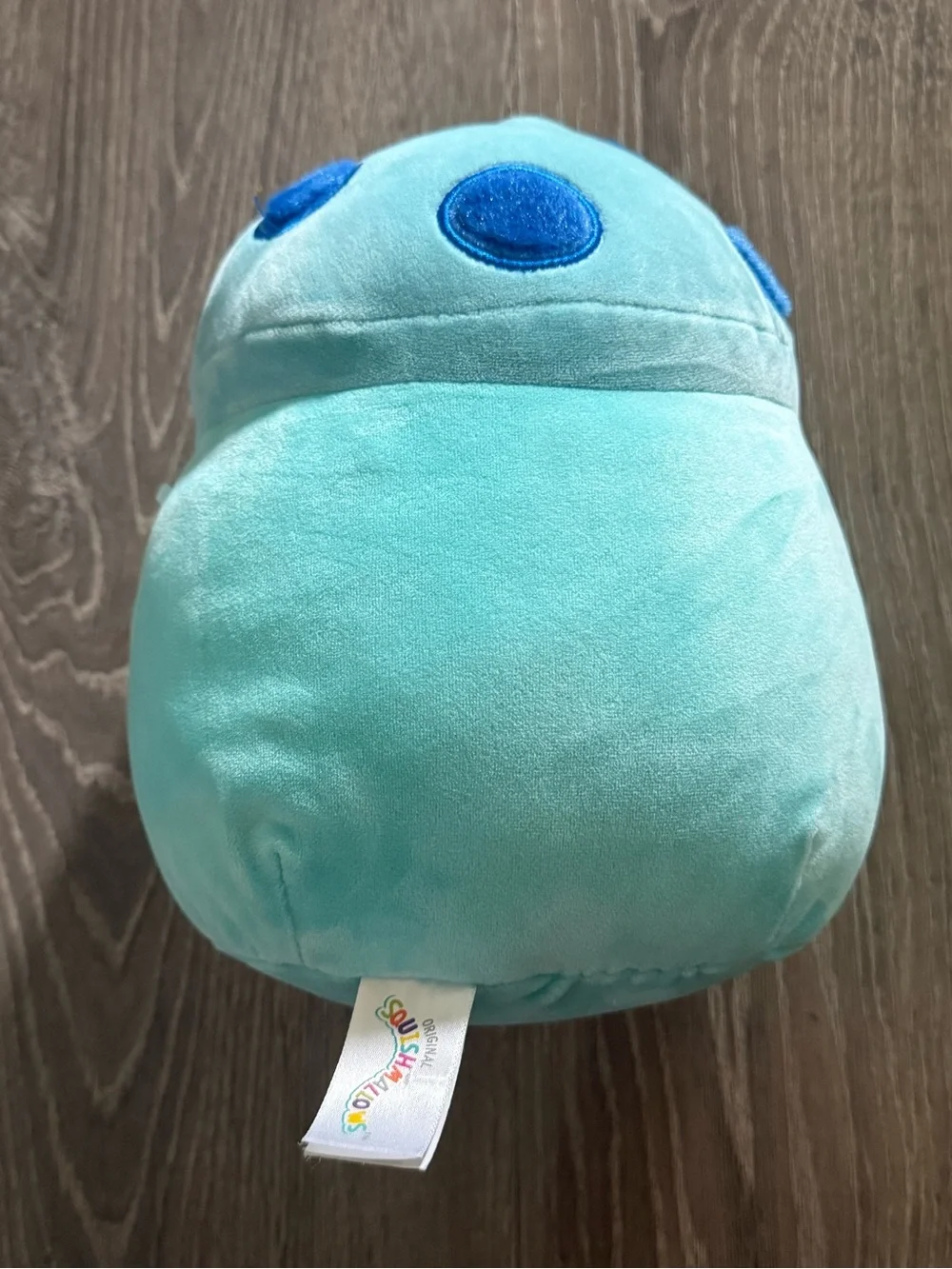 Ankur the Mushroom Squishmallow
